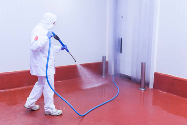 Best Sidewalk and Walkway Cleaning  in Mascotte, FL
