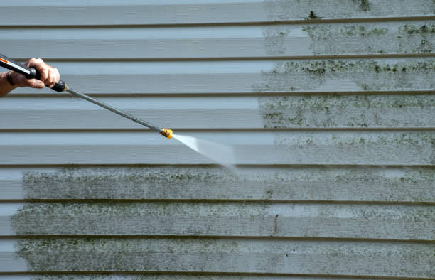 Best Building Exterior Washing  in Mascotte, FL